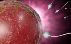 云南省第三試管助孕中心試管嬰兒費(fèi)用來(lái)了