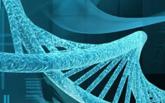 開封市試管?？漆t(yī)院試管嬰兒費用