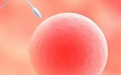 39歲還能做試管嗎