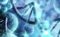 鄭大三附院做試管多少錢