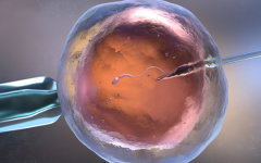 昆明助孕費用價格表