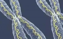 焦作市婦幼保健院做試管的費用大概是多少