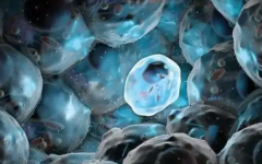 遵醫(yī)附院做試管價格揭秘