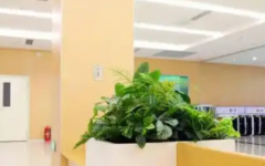 阜新市生殖醫(yī)療院