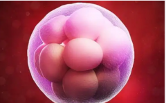 ?？频?01醫(yī)院做試管的全部費(fèi)用多少