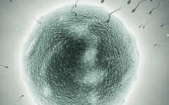 940醫(yī)院做試管費(fèi)用公布