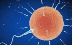 輸精管堵塞可以做試管嗎