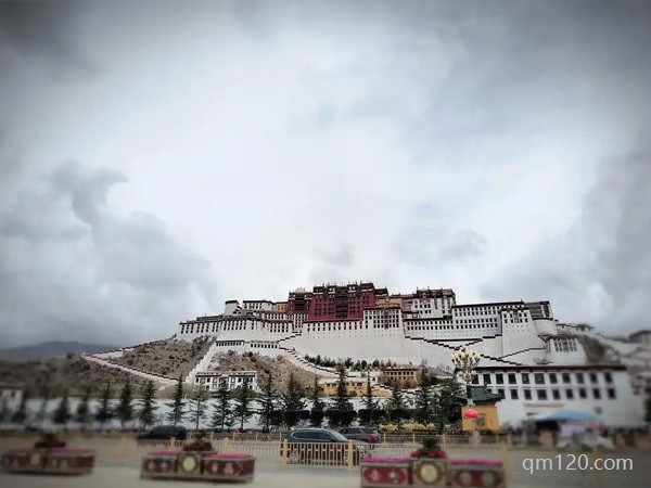 西藏不孕不育醫(yī)院哪個好