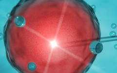 上海古藥大學(xué)附屬曙明醫(yī)院試管多少錢