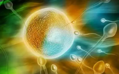 37歲還能做試管嬰兒嗎