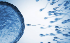 南昌大學(xué)二附院試管嬰兒費(fèi)用揭露