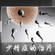 少精癥