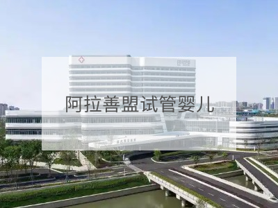 阿拉善盟試管嬰兒