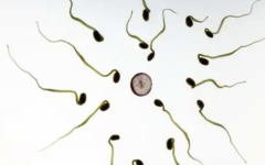 洛陽市中心醫(yī)院試管嬰兒花費明細表