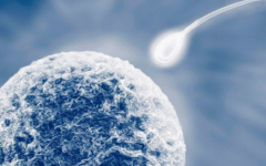 俄羅斯NGC醫(yī)院的收費