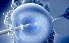 哈爾濱市紅十字中心醫(yī)院試管多少錢(qián)