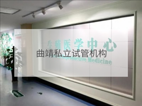曲靖私立試管機構