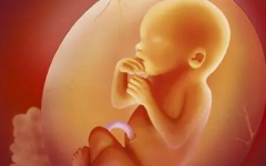 泰國三代試管價格一覽表