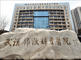 武漢試管中西醫(yī)結(jié)合試管?？漆t(yī)院