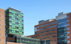 海外私立醫(yī)院做試管哪家好