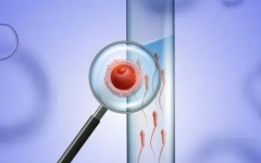 單身去泰國試管是合法的嗎