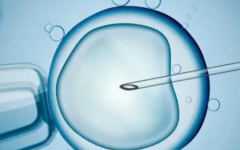 西安助孕費(fèi)用多少錢(qián)