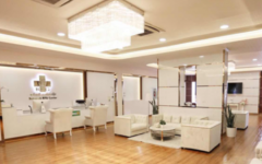 柬埔寨試管醫(yī)院排名