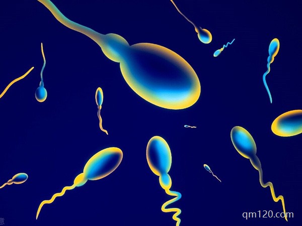 hds和dfi哪個重要