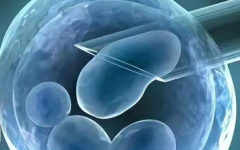 杭州市濱江醫(yī)院試管嬰兒的價(jià)格表