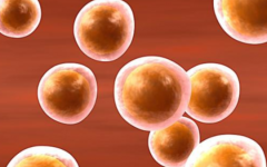 廣州市番禺區(qū)何賢紀念醫(yī)院試管多少錢