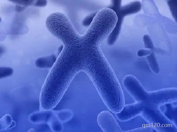 平衡易位做三代試管嬰兒的成功率