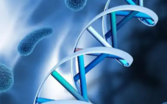 舟山婦幼保健院試管嬰兒花費(fèi)高不高