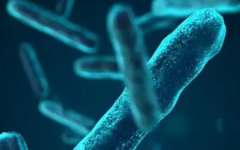 咸寧市中心醫(yī)院做試管成功率有多高