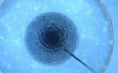 惠州市中心試管助孕中心做試管嬰兒費(fèi)用