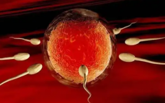 復(fù)發(fā)性流產(chǎn)能做試管嗎