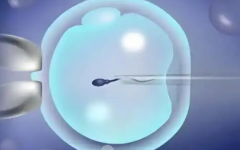 東莞市松山湖中心醫(yī)院試管嬰兒費(fèi)用