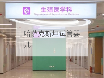 哈薩克斯坦試管嬰兒