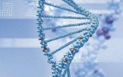 和京生殖醫(yī)院試管嬰兒全部一起費用多少