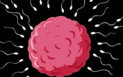 宿遷市試管?？漆t(yī)院做試管嬰兒需要多少費(fèi)用