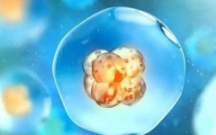 有自己獨(dú)自去泰國(guó)做試管的嗎