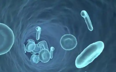 珠海試管助孕費(fèi)用