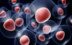 陸軍第73集團(tuán)軍醫(yī)院做試管價(jià)格怎么樣