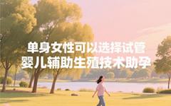 單身女想要個孩子怎么辦