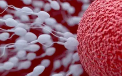 河南信合醫(yī)院試管嬰兒費用