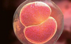 洛陽(yáng)市中心醫(yī)院做試管嬰兒成功率有多少