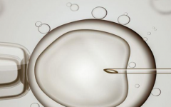 貴州私立試管試管專科醫(yī)院試管嬰兒