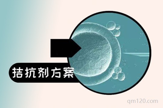 試管長(zhǎng)方案好還是短方案成功率高