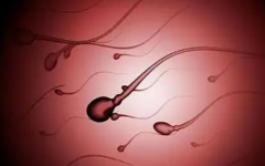 精子質(zhì)量差還能做試管嗎