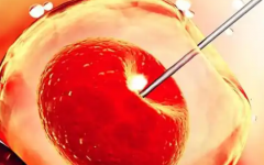 天津南開天孕醫(yī)院試管嬰兒費用