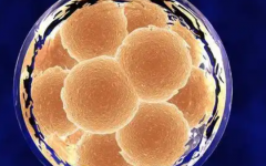 烏克蘭納迪亞生殖醫(yī)院試管嬰兒價格多少